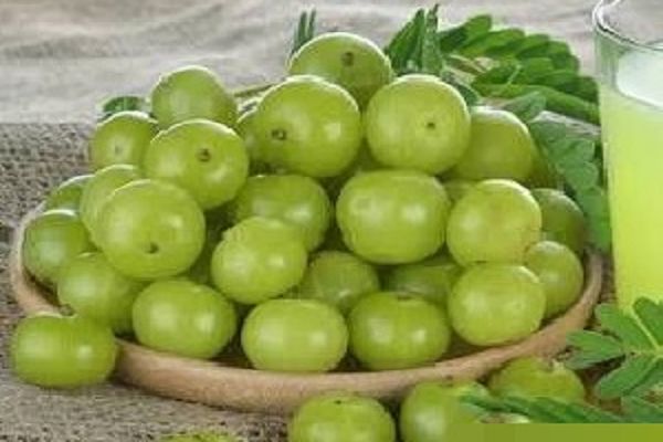 मजेदार भी, हेल्दी भी, पीएम मोदी ने बताए आंवला के गुण
