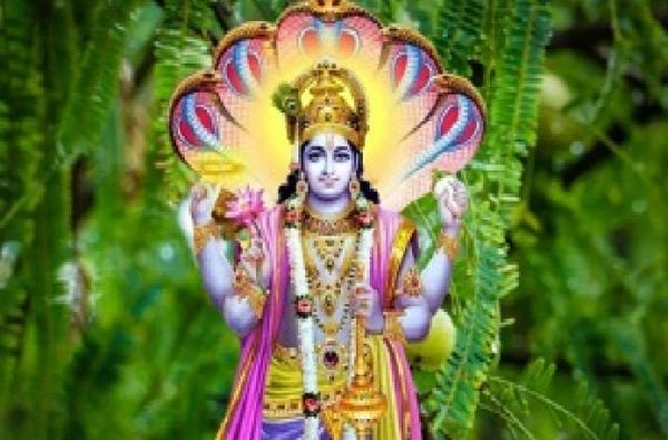 निर्जला एकादशी का व्रत कब 17 या 18 जून?