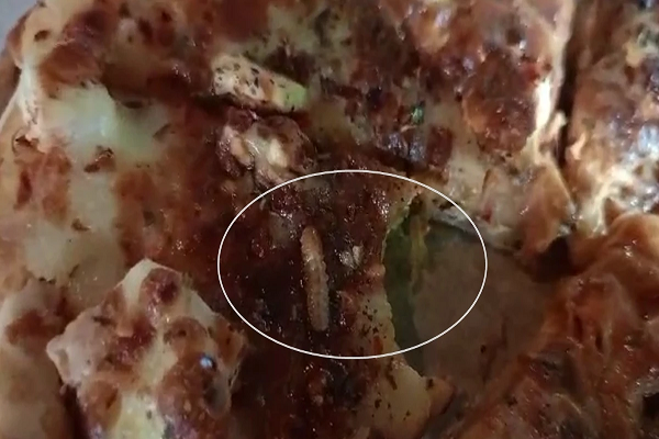 पिज्&zwj;जा खाने के शौकीन हैं तो यह खबर पढ़ लें ... शहडोल के डी लाइट काफी एंड रेस्टोरेंट से आर्डर किए पिज्जा में निकले कीड़े