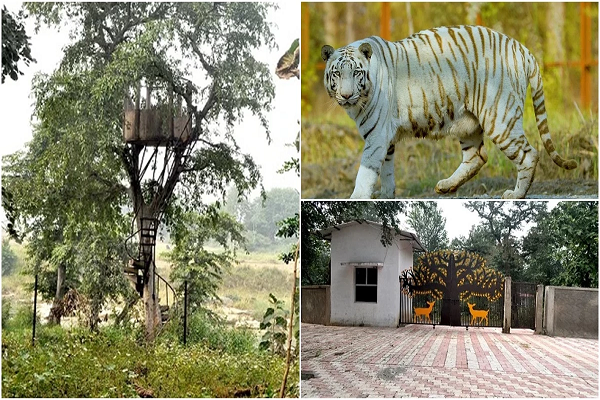 वन विहार, रालामंडल व मुकुंदपुर में प्रवेश शुल्क बढ़ाया, नाइट सफारी भी होगी शुरू