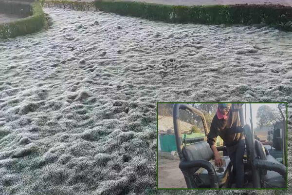 MP के शिमला में सीजन की पहली बर्फबारी, बर्फ देख झूमे पर्यटक, 1.8 डिग्री पहुंचा तापमान