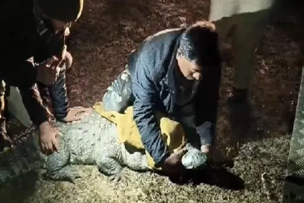 मध्य प्रदेश के सागर में पूर्व भाजपा विधायक के बंगले में 60 साल से चल रहा था चिड़&zwj;ियाघर