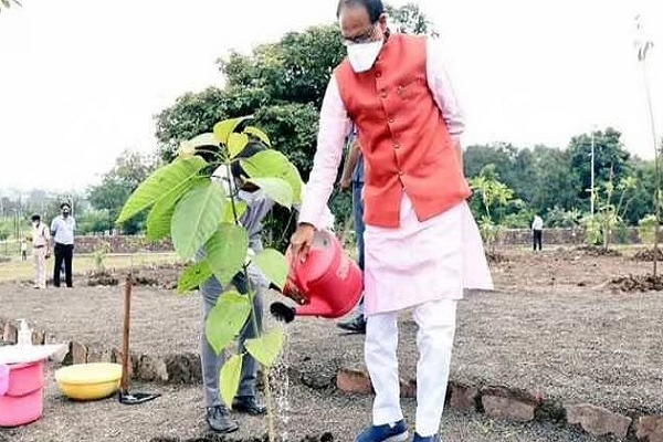 शिवराज सिंह के पौधारोपण संकल्प के 4 साल पूरे: 20 राज्यों में लगा चुके हैं साढ़े चार हजार से अधिक पौधे, कल छतरपुर में जल सखियों के साथ करेंगे वृक्षारोपण
