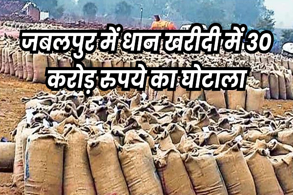जबलपुर में फर्जी धान खरीदी में 12 थानों में 74 लोगों पर एफआईआर, इनमें सोसायटी के कर्मचारी भी