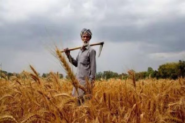 जिन किसानों के पास होगा फार्मर आईडी, उन्हीं को मिलेगा PM किसान सम्मान निधि का लाभ
