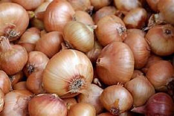 मंडी में प्याज 4000 रुपये क्विंटल पार, रिटेल में 60 रुपए किलो पर पहुंचे दाम