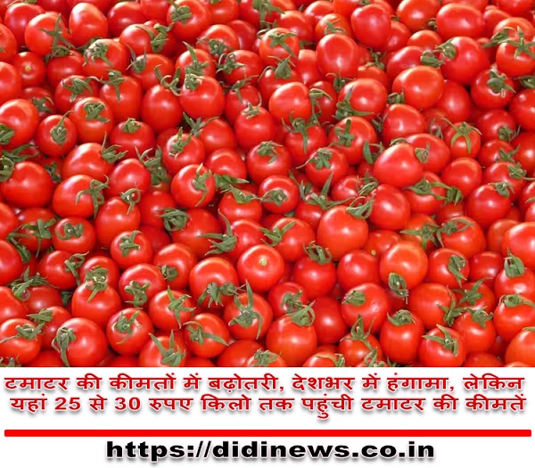 टमाटर की कीमतों में उछाल, देशभर में हाहाकार, लेकिन यहां 25 से 30 रुपए किलो तक पहुंची टमाटर की कीमतें