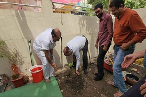 विश्व पर्यावरण दिवस में कलेक्टर ने किया पौधारोपण