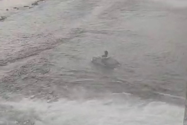 मध्य प्रदेश में अगले चार दिन कभी तेज, तो कभी हल्की बारिश के आसार