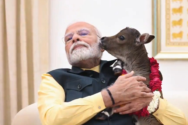 प्रधानमंत्री आवास में आया नया मेहमान, पीएम मोदी ने शेयर किया वीडियो...