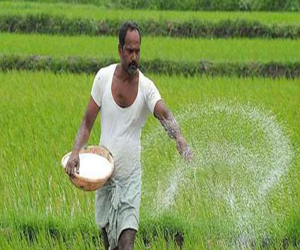 PM Aasha Yojana: केंद्र सरकार का किसानों को तोहफा, पीएम-आशा योजना रहेगी जारी, खाद पर सब्सिडी भी