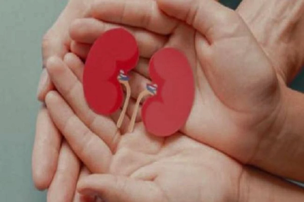 अंग दान करने वालों में 63 प्रतिशत महिलाएं लेकिन प्रत्यारोपण में पुरुषों से पीछे