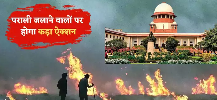 सुप्रीम कोर्ट की फटकार के बाद अब पराली जलाने पर भारी भरकम जुर्माना लगाने की तैयारी में केंद्र सरकार