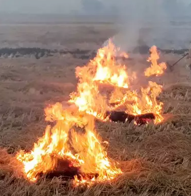 प्रदूषण के बीच फैसला, पराली जलाई तो किसानों पर लगेगा दोगुना जुर्माना,नया नोटिफिकेशन जारी
