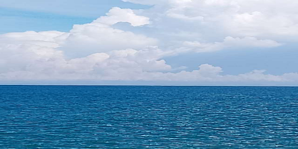 आज का मौसम 14 नवंबर 2024: दिल्ली-एनसीआर में कोहरे के साथ ठंड की एंट्री, इन इलाकों में बारिश का अलर्ट, पढ़िए वेदर अपडेट