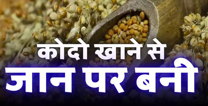 हाथियों के बाद इंसानों तक पहुंचा कोदो का वायरस, रोटी खाने से एक ही परिवार के तीन लोग बीमार, दो की हालत गंभीर