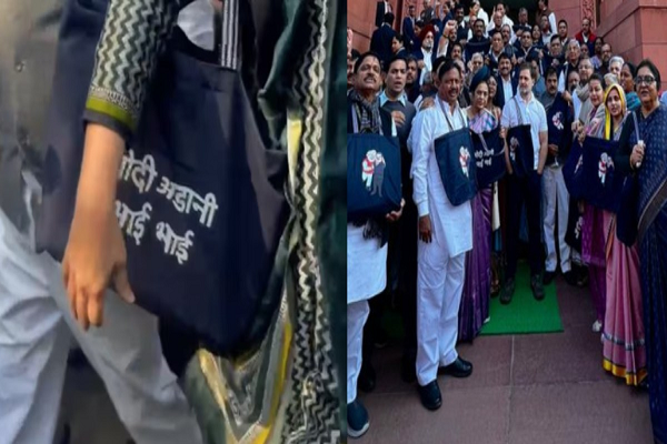 मोदी अडानी भाई-भाई&hellip; लिखा बैग लेकर संसद पहुंचीं प्रियंका गांधी, दोनों के कैरिकेचर वाले इमेज देख राहुल बोले- क्यूट है