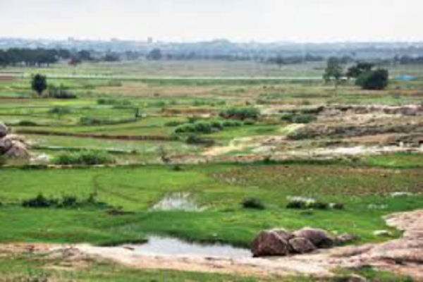 सरकारी जमीन का भी बनेगा कागजात, पढ़िए पूरी खबर&hellip;