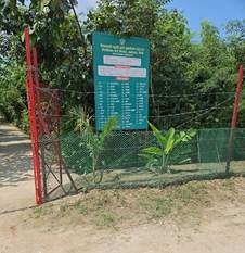 नई पद्धति से पिछले दो वर्षों में प्रयागराज में 56000 वर्ग मीटर घने जंगल उगाए