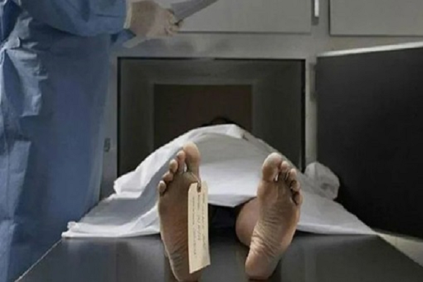 पेड़ की डाल टूटकर गिरने से शिक्षिका की मौत