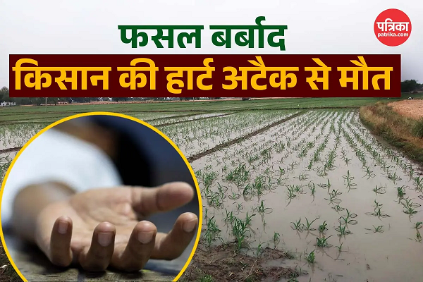 खेत में खड़े-खड़े किसान को आया हार्ट अटैक, 14 बीघा में गेहूं की फसल बर्बाद  