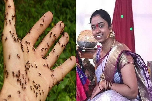 चींटियों के डर से युवती ने लगा ली फांसी