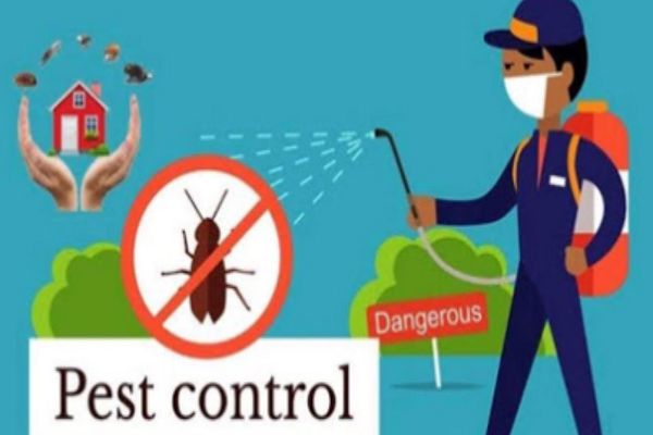  गुण नियंत्रण अभियान में पेस्ट कंट्रोल एजेंसियों की जांच
