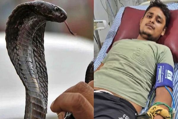 सांप के 6 बार काटने के बाद भी बच गया युवक, सपने में दी धमकी