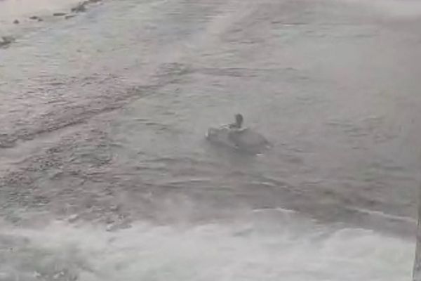 मध्य प्रदेश में अगले चार दिन कभी तेज, तो कभी हल्की बारिश के आसार