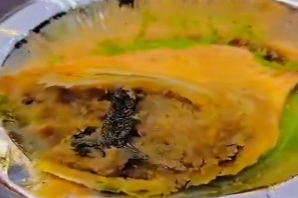 समोसे में निकली मेंढक की टांग, सोशल मीडिया पर वीडियो वायरल...
