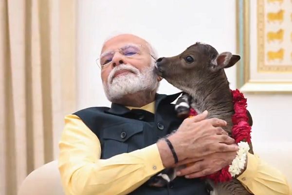 प्रधानमंत्री आवास में आया नया मेहमान, पीएम मोदी ने शेयर किया वीडियो...