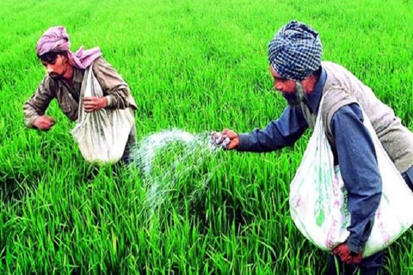 PM Aasha Yojana: केंद्र सरकार का किसानों को तोहफा, पीएम-आशा योजना रहेगी जारी