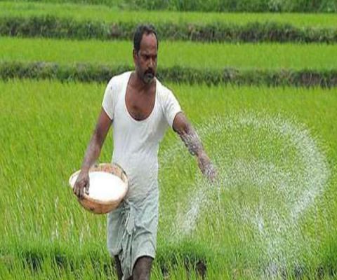 PM Aasha Yojana: केंद्र सरकार का किसानों को तोहफा, पीएम-आशा योजना रहेगी जारी, खाद पर सब्सिडी भी