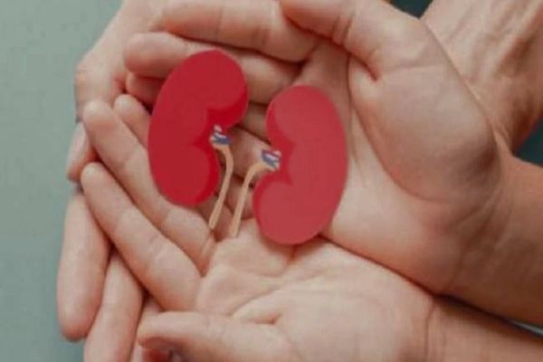 अंग दान करने वालों में 63 प्रतिशत महिलाएं लेकिन प्रत्यारोपण में पुरुषों से पीछे