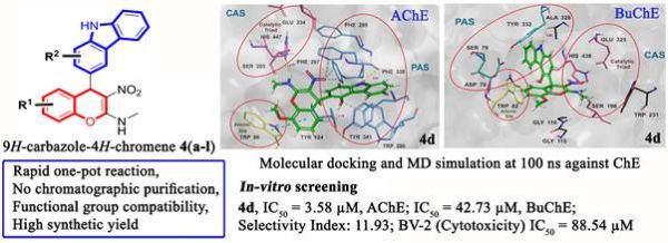 अल्ज़ाइमर रोग के उपचार के लिए नवीन अणु तैयार किए गए