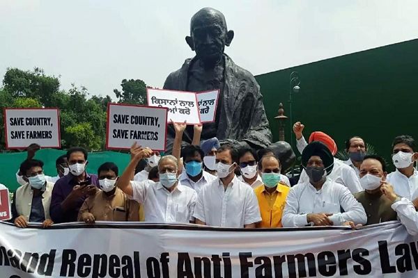 विपक्ष के सांसदो का संसद के बाहर प्रदर्शन, काली जैकेट पहनकर पहुंचे सदन, राहुल बोले- मोदी जी अडाणी जी की जांच नही करा सकते