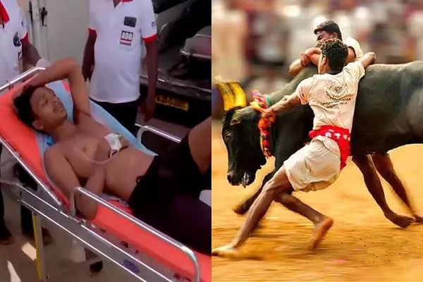 मदुरै में जल्लीकट्टू कार्यक्रम के दौरान हादसा, एक की मौत; 75 घायल