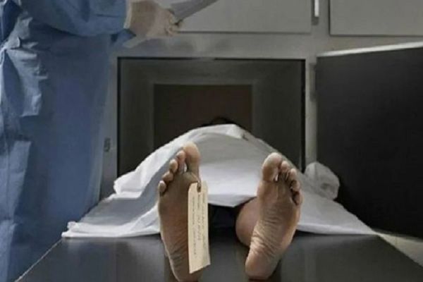 पेड़ की डाल टूटकर गिरने से शिक्षिका की मौत