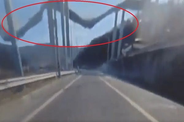 साउथ कोरिया में भरभरा कर ढह गया पुल, फिल्मी सीन की तरह दिखा हादसा