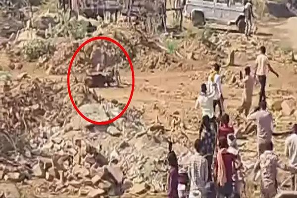 5 चीते फलांग गए कूनो की सीमा, गांव पहुंचे तो लाठी-डंडे और पत्थरों से हुआ 'वेलकम', एक महीने पहले हुए थे आज़ाद