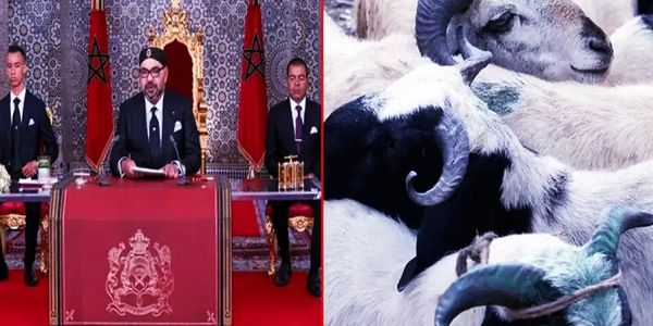 मोरक्को में बकरीद के दौरान कुर्बानी पर रोक, राजा के फैसले से देशवासियों में आक्रोश